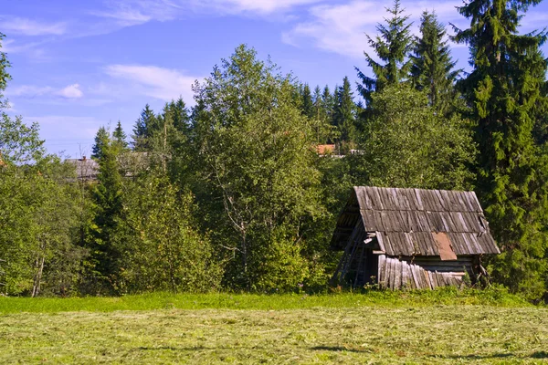 The house in the forest