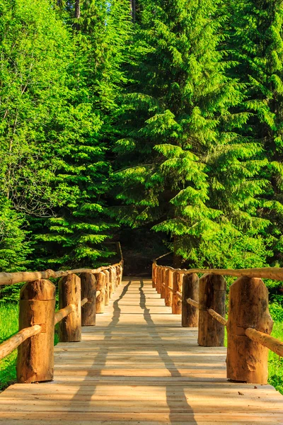 Vertical wooden bridge disappears in forest