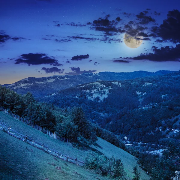 Village on hillside meadow with forest in mountain at night