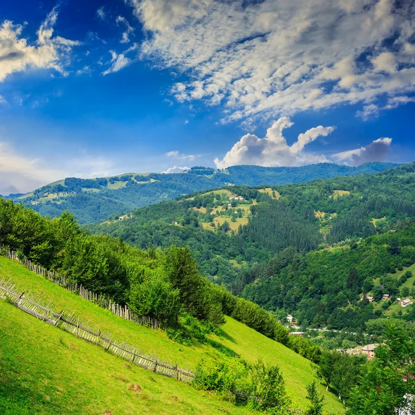 Village on hillside meadow with forest in mountain