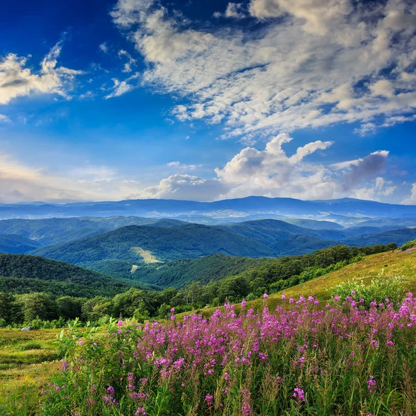 Light on stone mountain slope with forest in morning