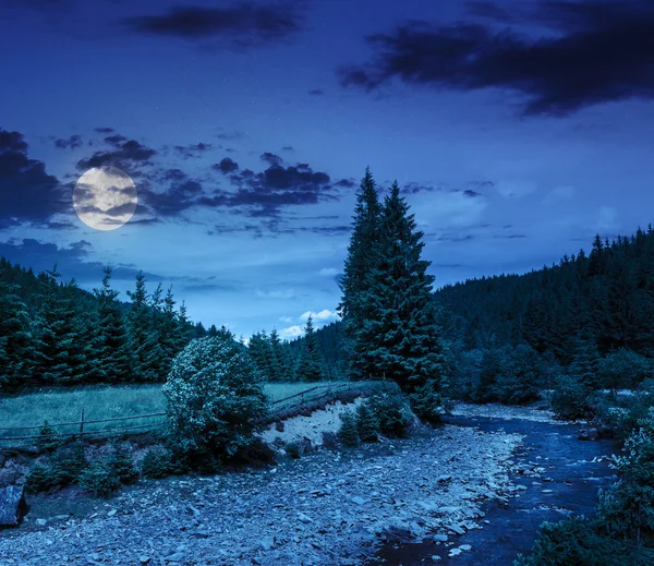 Wild mountain river near forest at night