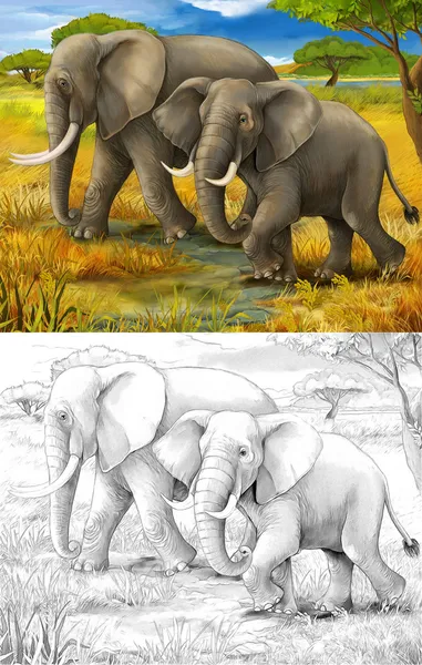 Safari - elephants - coloring page - illustration for the children