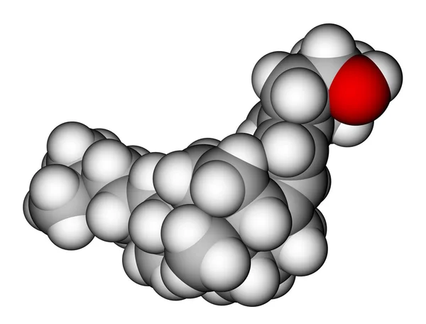 Amoxicillin 875 mg street price