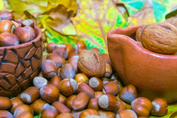 Hazelnuts anu nuts spilled from ceramic pot