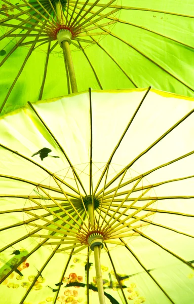 Chinese umbrella