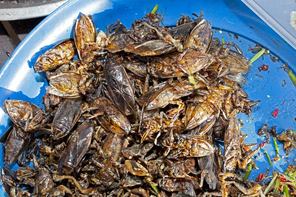 Crickets asian market foods