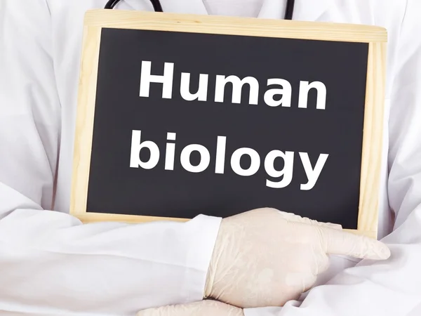 Doctor shows information on blackboard: human biology