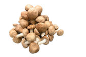 Fresh shiitake mushrooms - Free Stock Image
