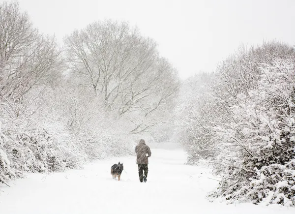 Man and dog in snow