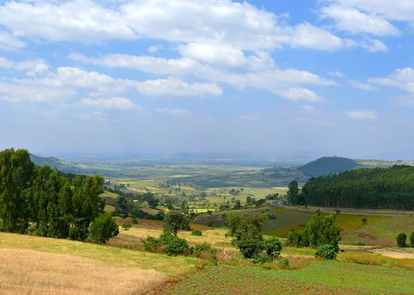 Ethiopian landscape nature. Valley in the valley of the mountains. Africa, Ethiopia.
