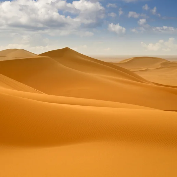 Libyan Desert. Dense gold dust, dunes and beautiful sandy