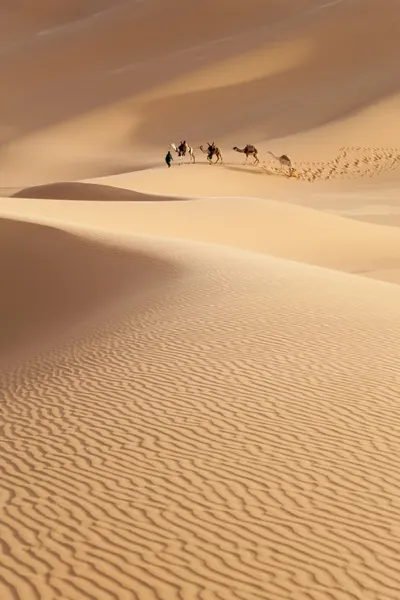 Caravan in the Sahara Desert, Libya