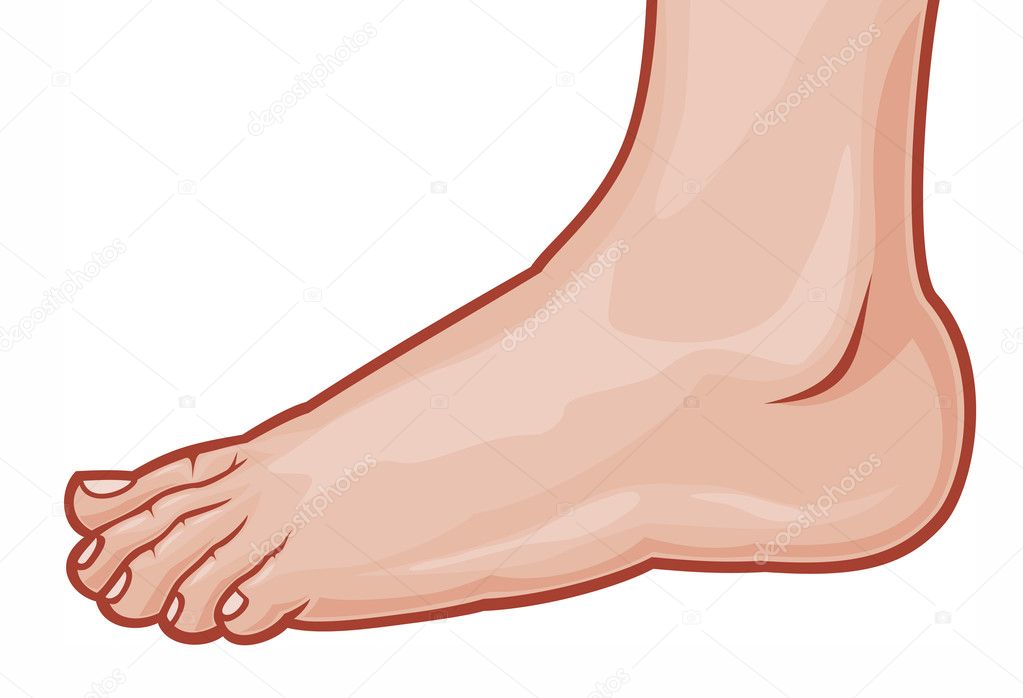 clipart human foot - photo #13