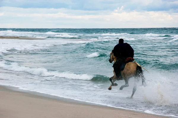 Horse rider on storm sea background