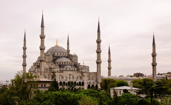 The Blue Mosque