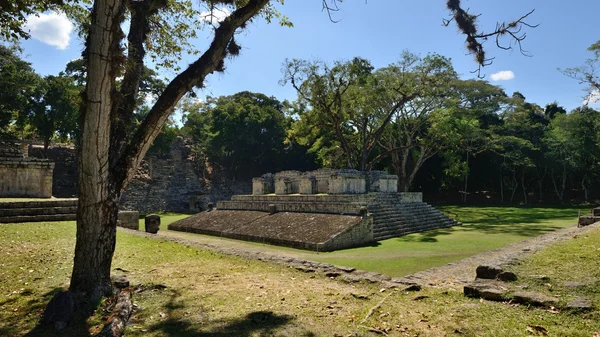 Golf ball in the ancient Mayan city of Copan in Honduras