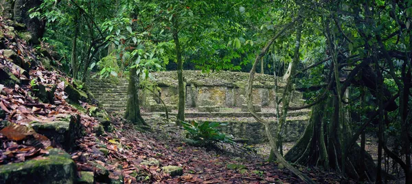 Little study of archaeological structures in the jungle in the a