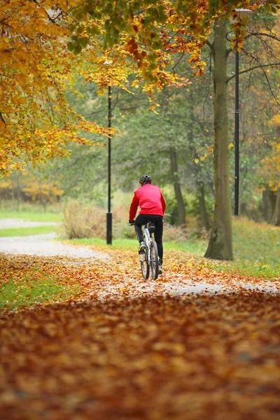 Cycling outdoors man on bike, golden autumn in park