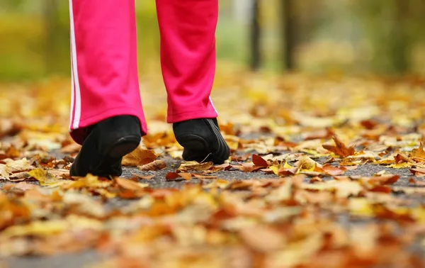Runner legs running shoes. Woman jogging in autumn park