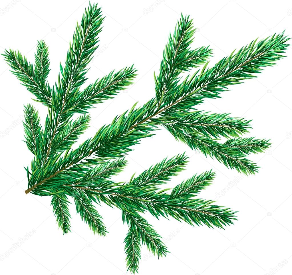 Coastal Branch Treel: Christmas tree coastal decor