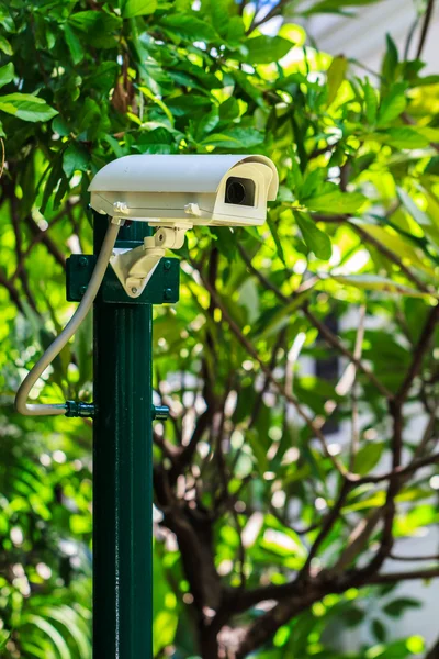 Security Camera in the Garden, CCTV Camera