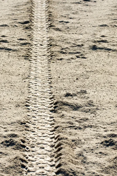 Tire tracks on dirt