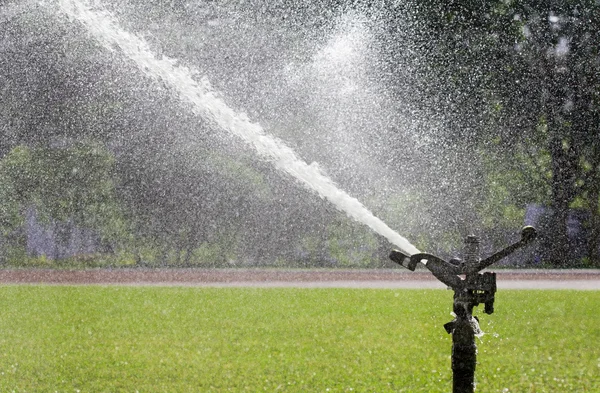 Sprinkler head watering the sport lawn