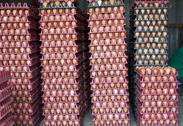 Stacks of brown eggs in trays at farm