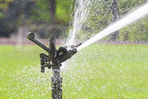 Sprinkler head watering the grass