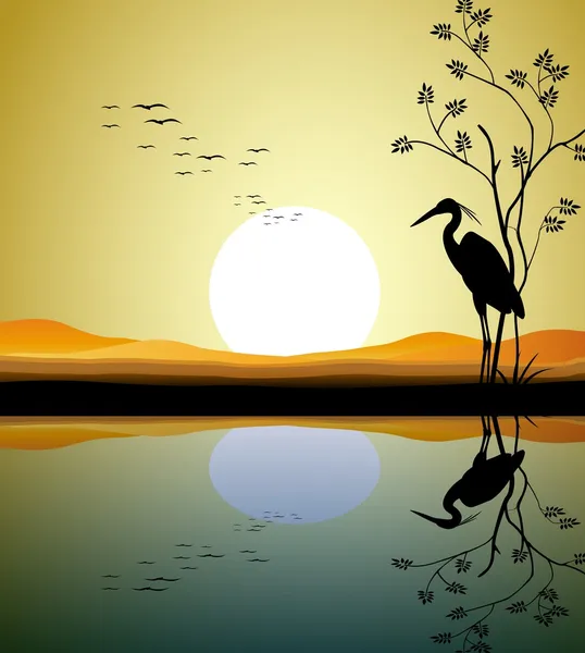 Heron silhouette on lake