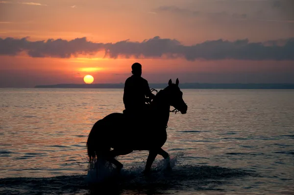 Horse riding at dusk