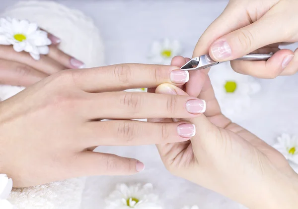 French manicure for female