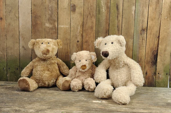 Three teddy bears seated against a wooden wall