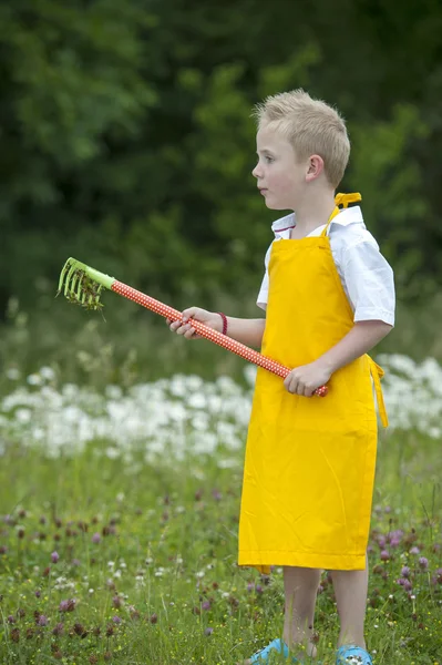 Gardening, cute little boy with rake, outdoors