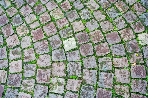 Cobblestone grass brick road