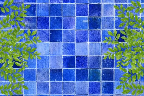 Blue tiles wall with green leaves frame