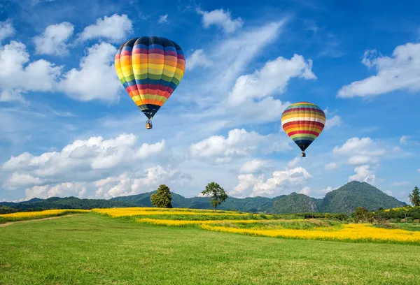Hot air balloon over the yellow flower field with mountain and blue sky background