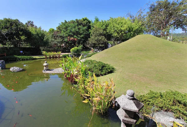 Fish pond at japanese garden
