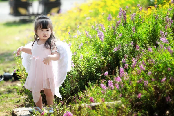 Little fairy in flower field