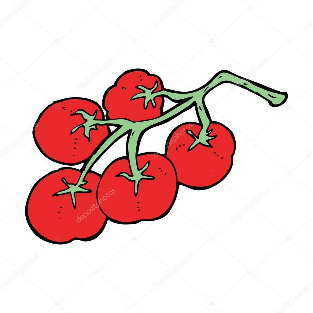 Cartoon tomatoes on vine — Stock Vector © lineartestpilot 36254361