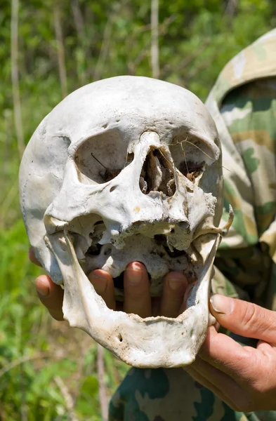 Human Skull on Hand