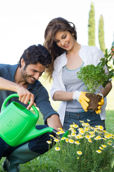 Young Couple Gardening Together