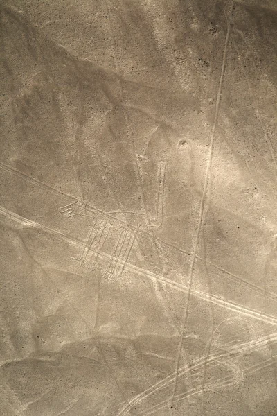 Lines and Geoglyphs of Nazca, Peru - dog