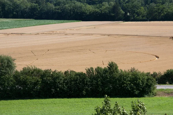 Crop circles