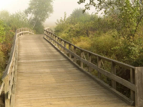 Wooden Bridge