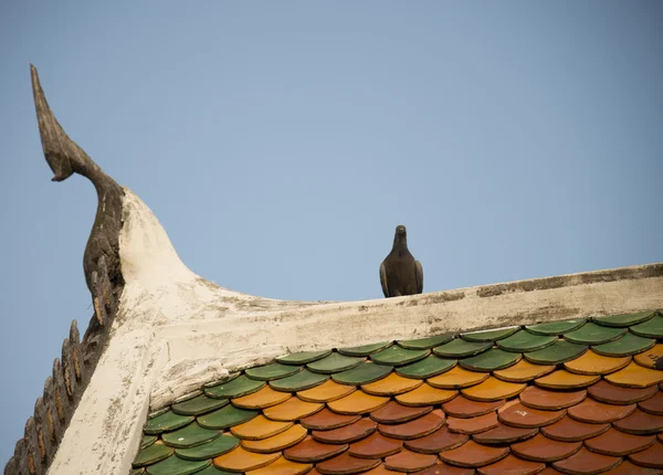 Gable apex on roof Temple with pigeon2