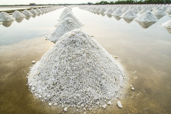Row of pile salt in salt farm1