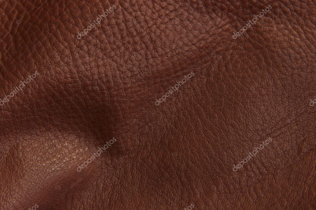 pin foto la texture della pelle on pin foto la texture della pelle on pin foto la texture della pelle on pin foto la texture della pelle on