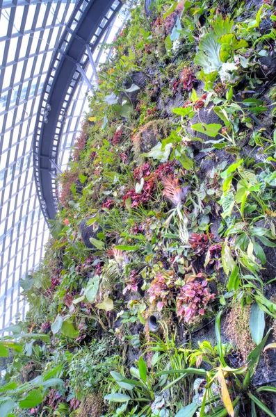 Gardens by the Bay, Singapore